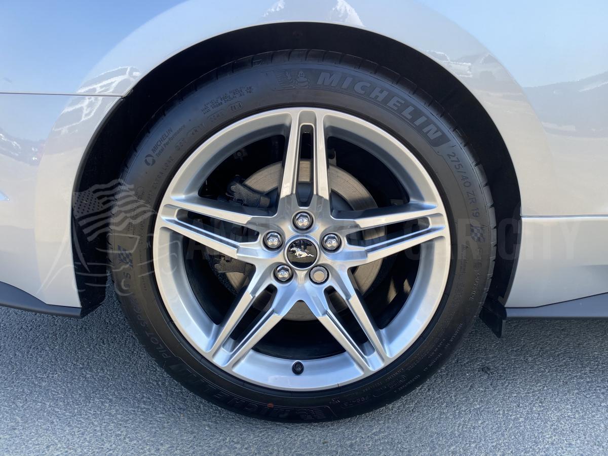 FORD MUSTANG GT Fastback 5.0L V8 BVA10