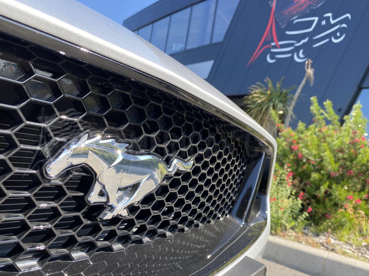 FORD MUSTANG GT Fastback 5.0L V8 BVA10