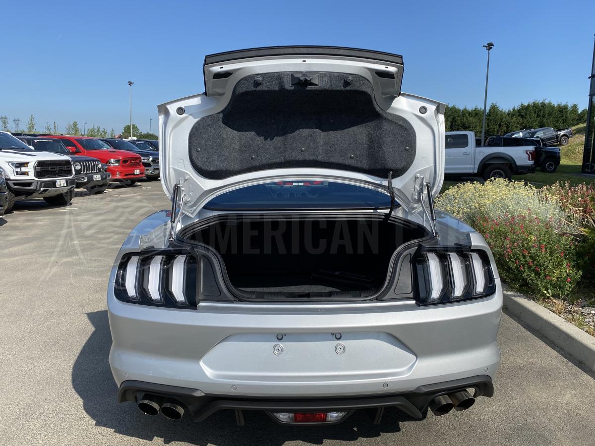 FORD MUSTANG GT Fastback 5.0L V8 BVA10