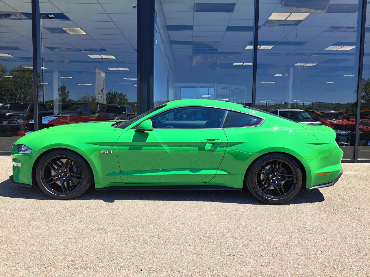 FORD MUSTANG GT V8 5.0L BVA