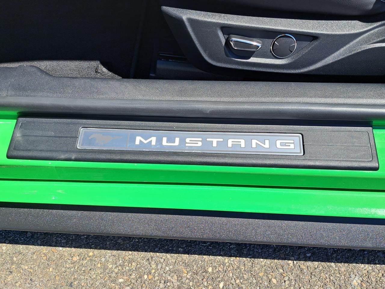 FORD MUSTANG GT V8 5.0L BVA