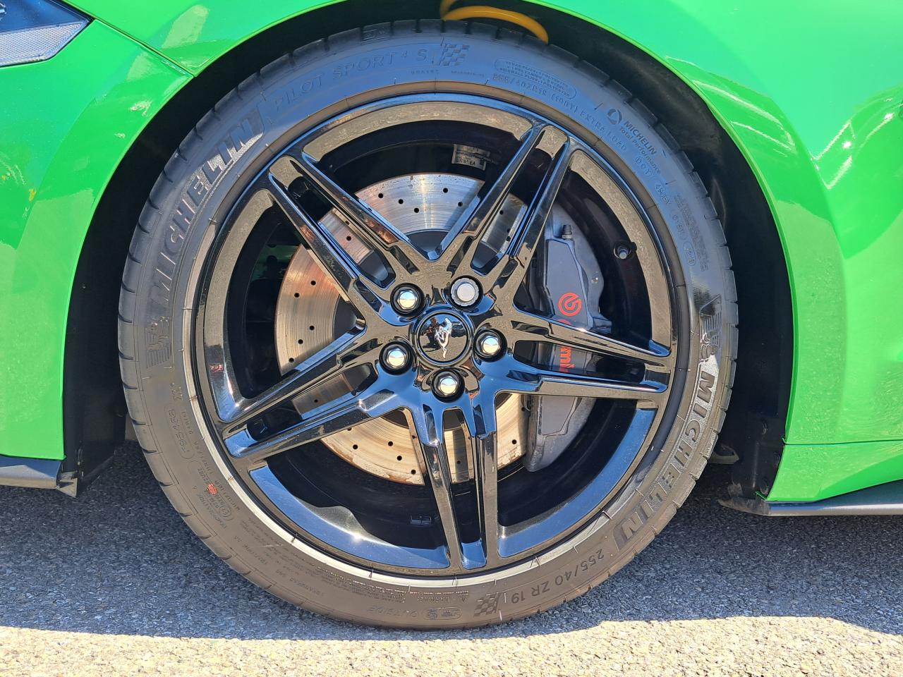 FORD MUSTANG GT V8 5.0L BVA