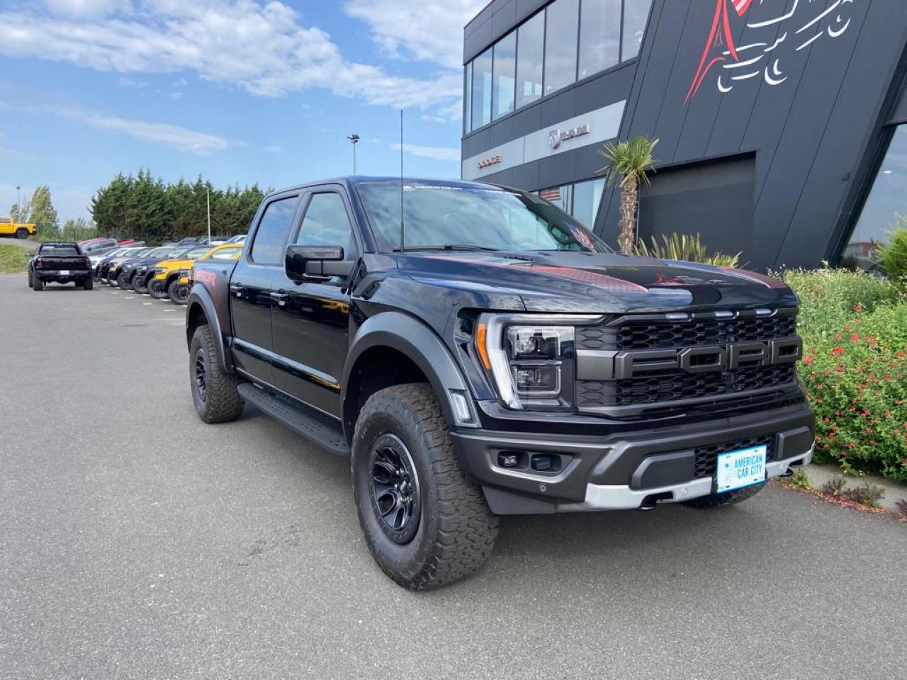 FORD F150 RAPTOR SUPERCREW V6 3,5L EcoBoost