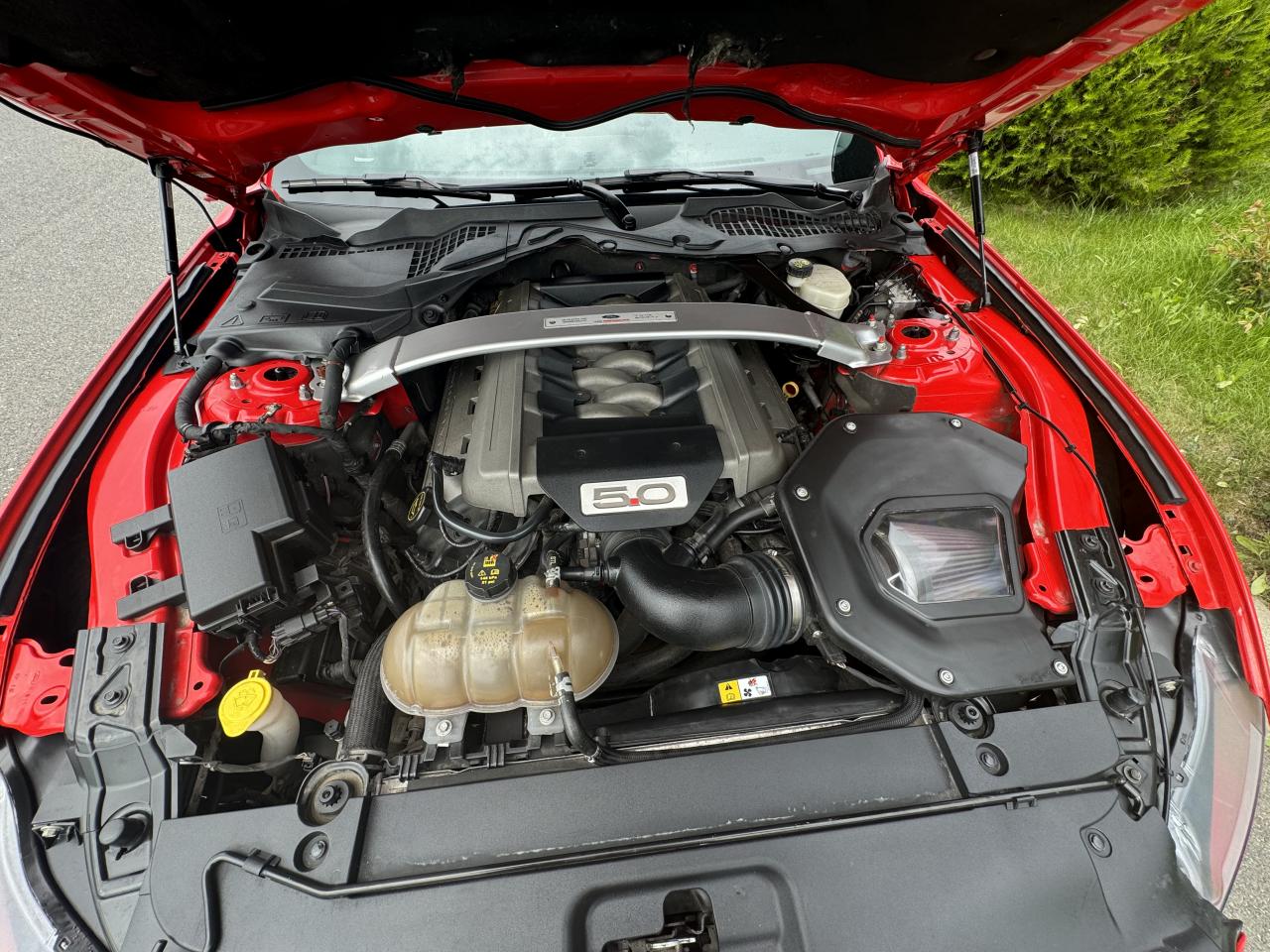 FORD MUSTANG GT Fastback V8 5.0L