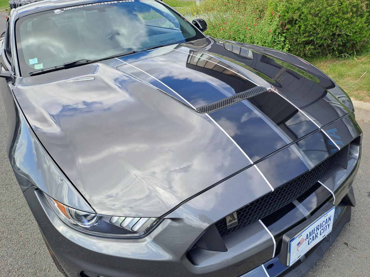 FORD MUSTANG Shelby GT350 V8 5.2L - PAS DE MALUS