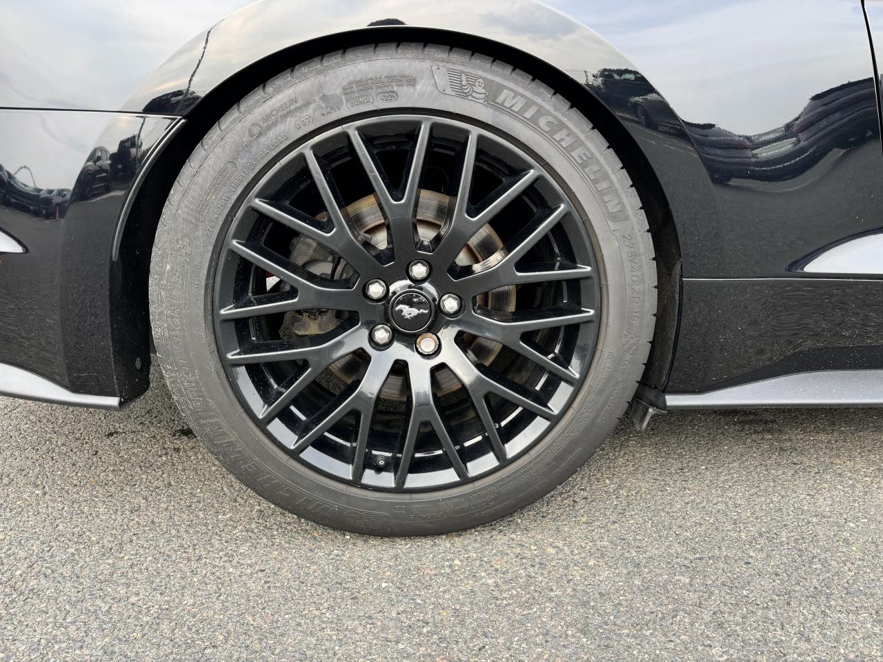 FORD MUSTANG GT FASTBACK 5.0L V8 450ch MAGNERIDE BVA10