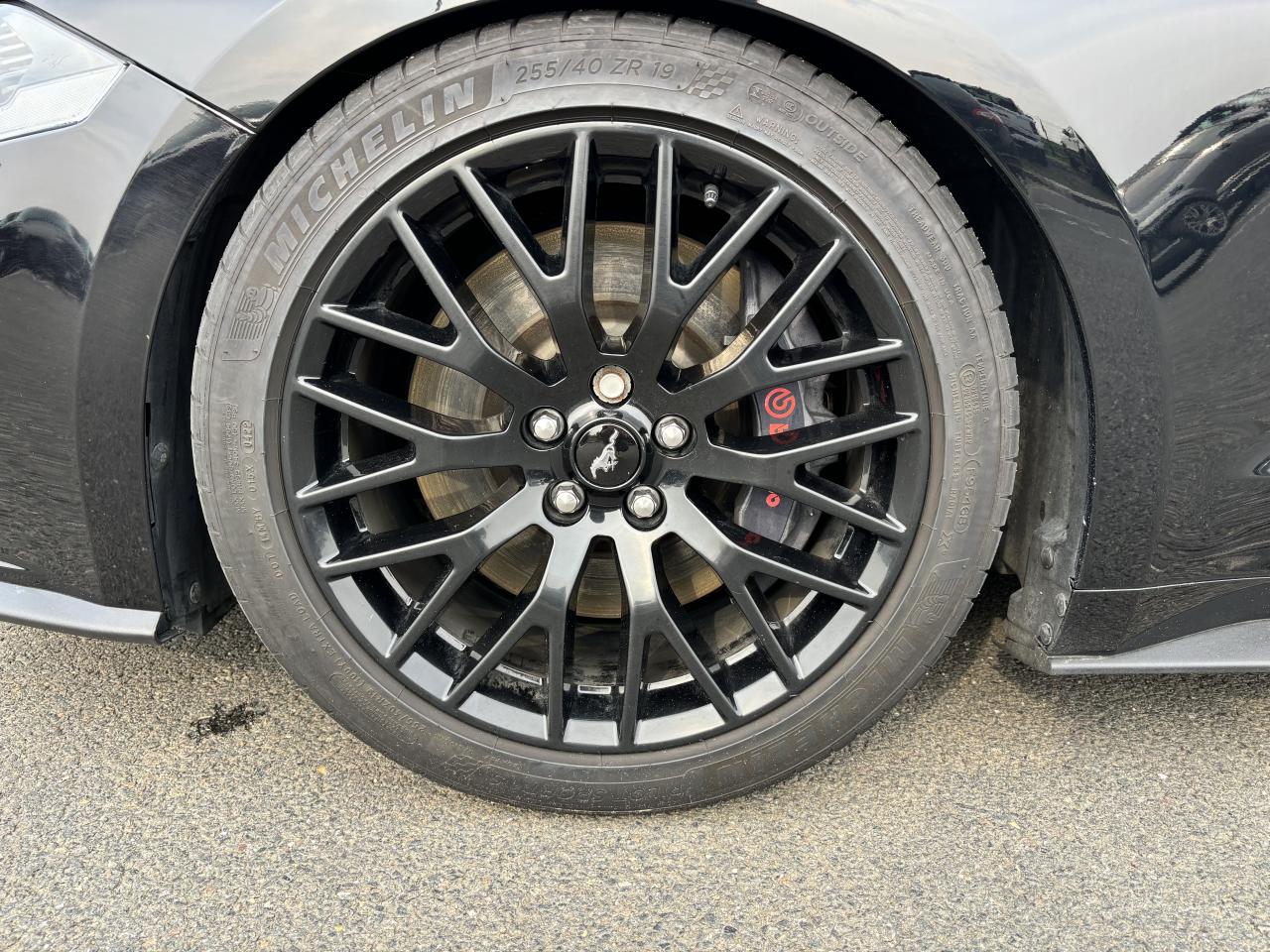 FORD MUSTANG GT FASTBACK 5.0L V8 450ch MAGNERIDE BVA10