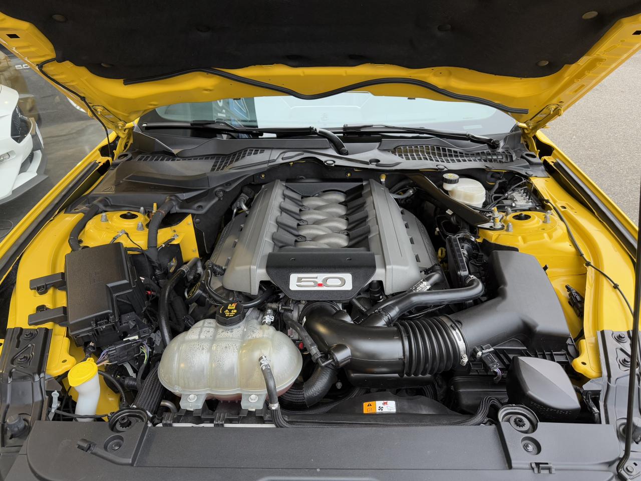 FORD MUSTANG GT Fastback V8 5.0L - Black shadow edition