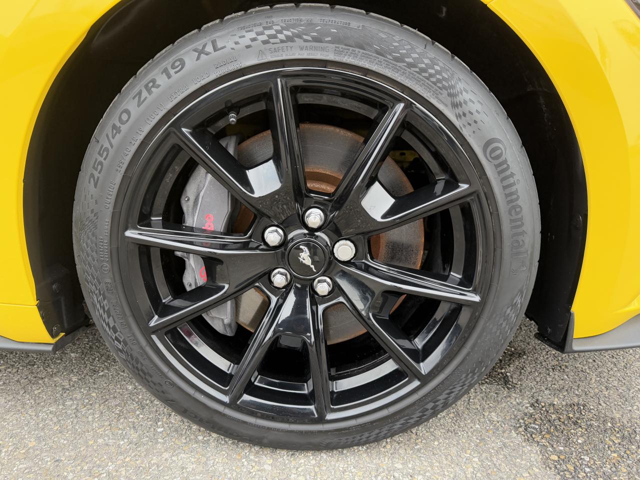 FORD MUSTANG GT Fastback V8 5.0L - Black shadow edition