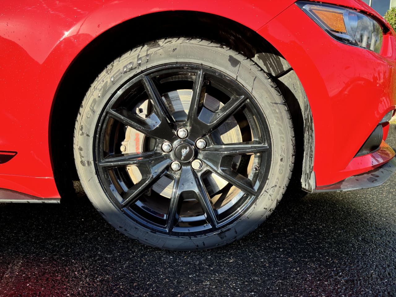 FORD MUSTANG GT Fastback V8 5.0L BLACK SHADOW EDITION