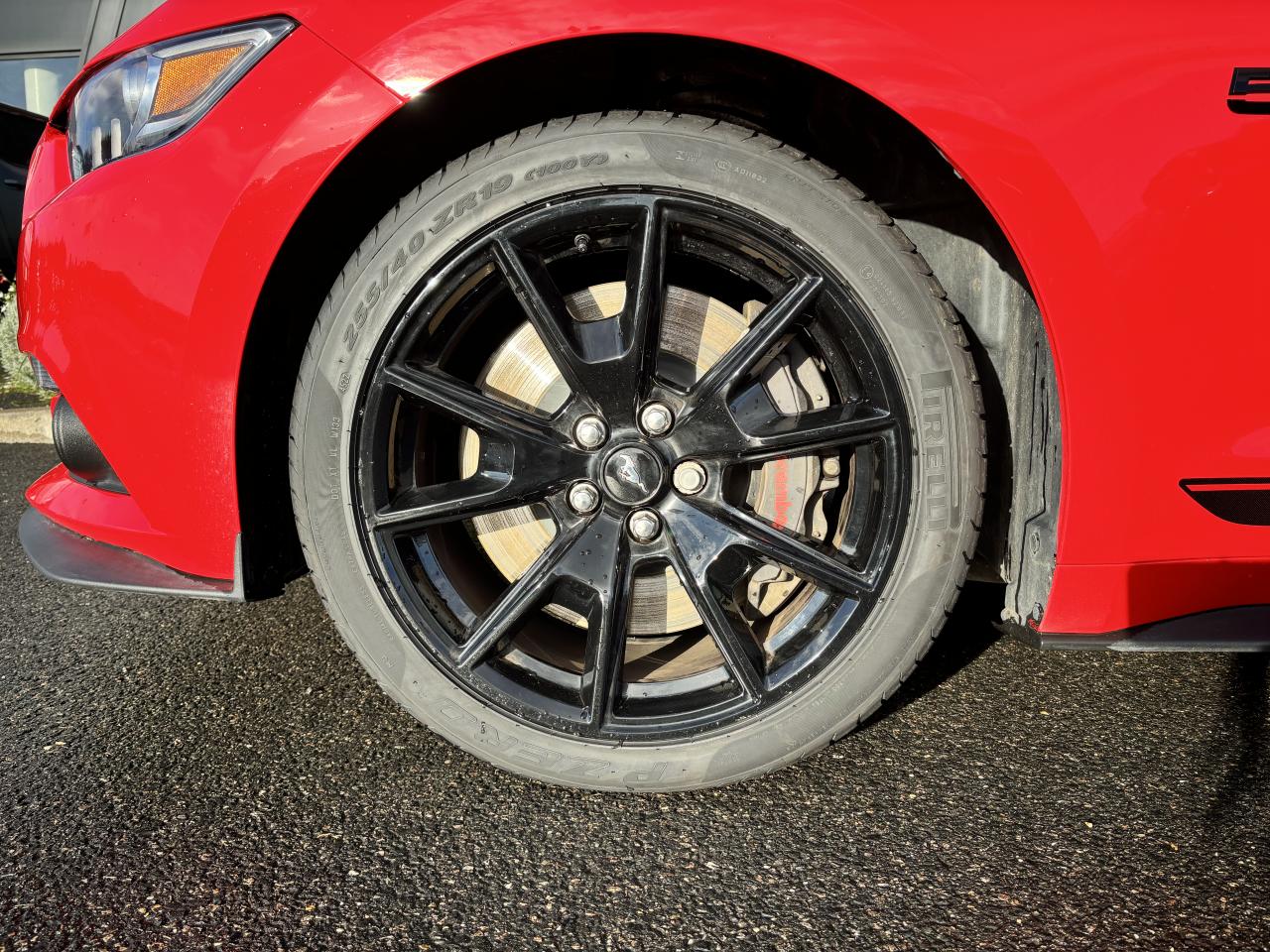 FORD MUSTANG GT Fastback V8 5.0L BLACK SHADOW EDITION