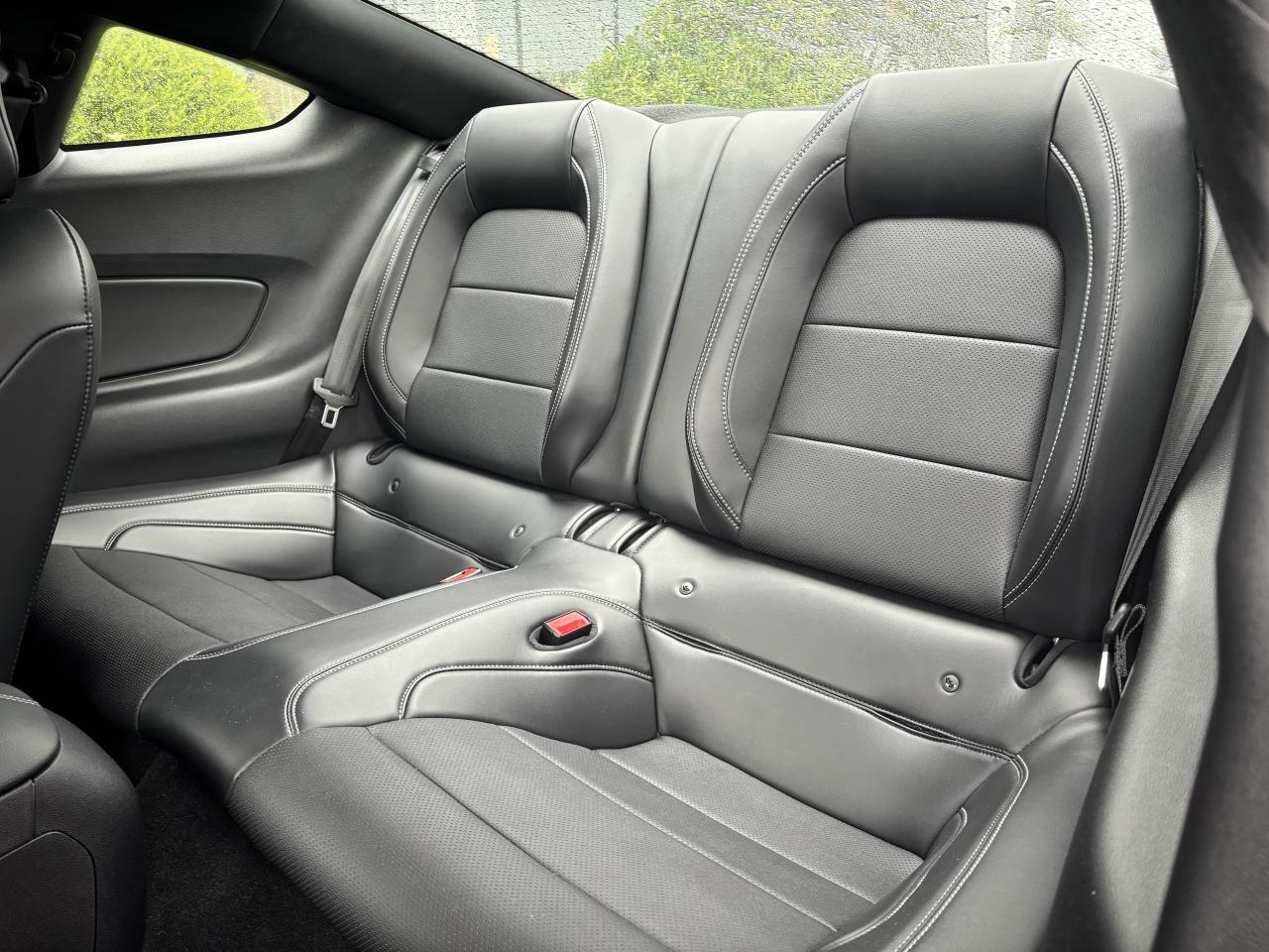 FORD MUSTANG GT FASTBACK V8 5.0L BVA10