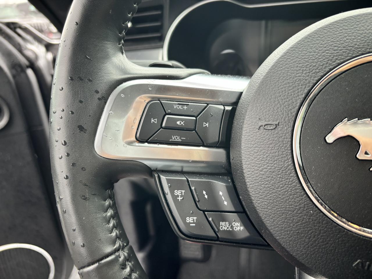 FORD MUSTANG GT FASTBACK V8 5.0L BVA10