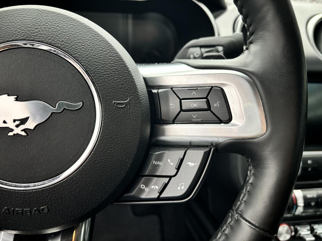 FORD MUSTANG GT FASTBACK V8 5.0L BVA10