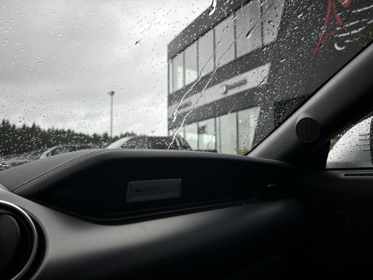 FORD MUSTANG GT FASTBACK V8 5.0L BVA10