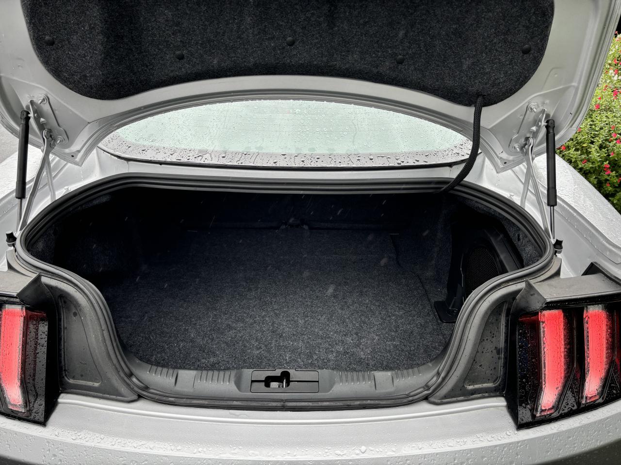 FORD MUSTANG GT FASTBACK V8 5.0L BVA10