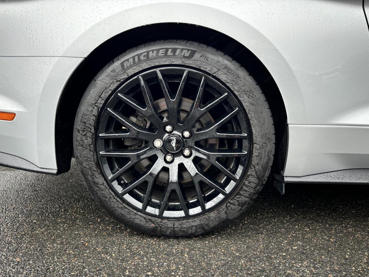 FORD MUSTANG GT FASTBACK V8 5.0L BVA10