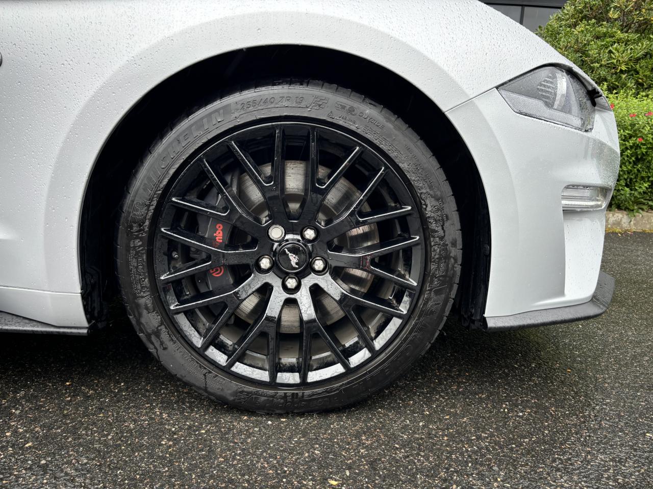 FORD MUSTANG GT FASTBACK V8 5.0L BVA10