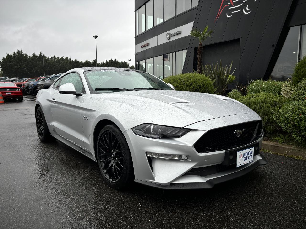 FORD MUSTANG GT FASTBACK V8 5.0L BVA10