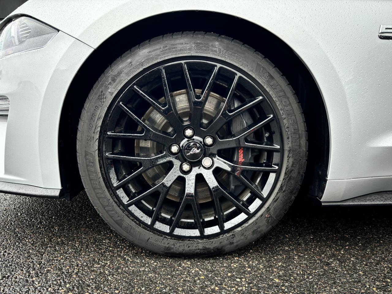 FORD MUSTANG GT FASTBACK V8 5.0L BVA10