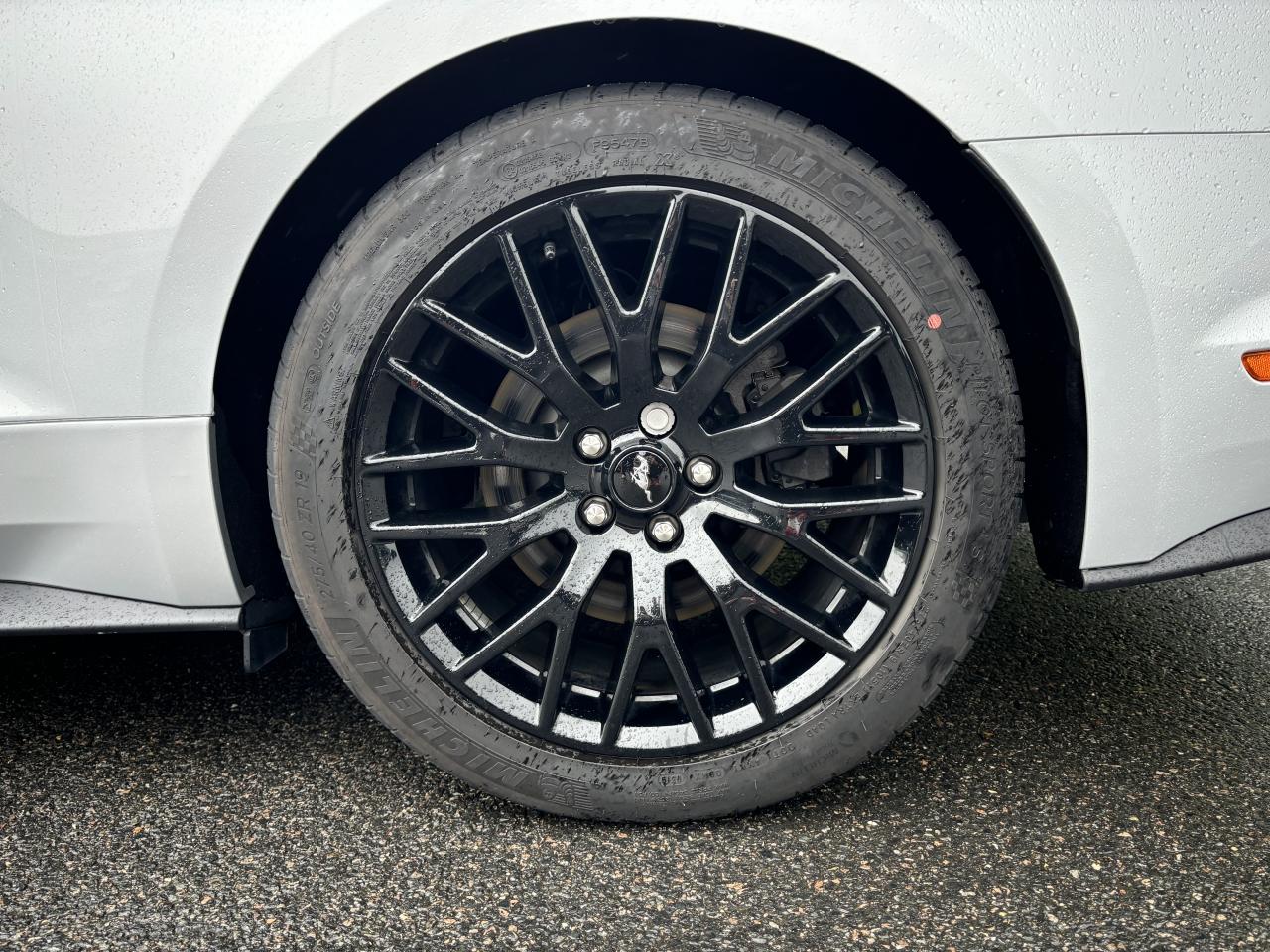 FORD MUSTANG GT FASTBACK V8 5.0L BVA10