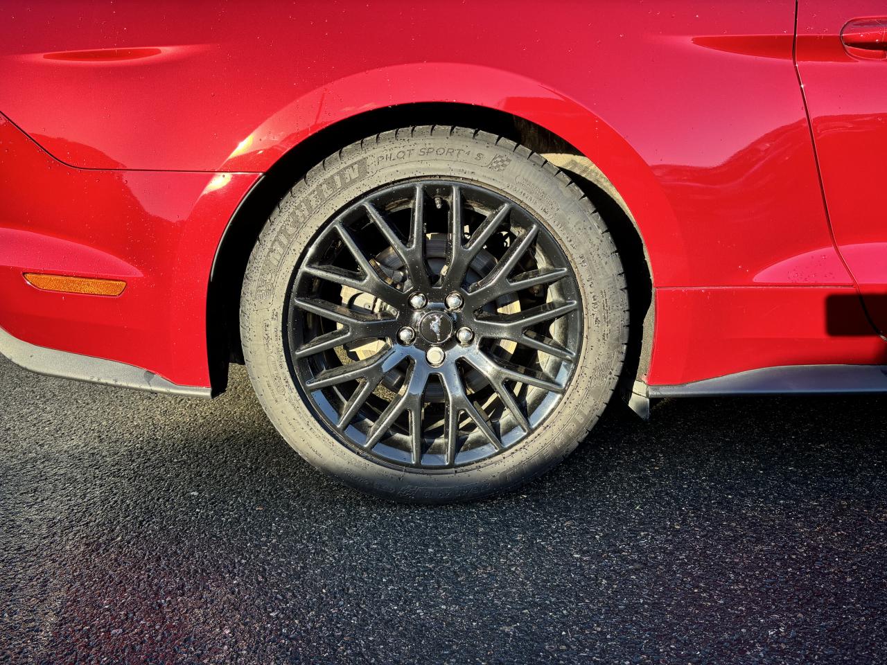 FORD MUSTANG GT CABRIOLET 5.0L V8 MAGNERIDE