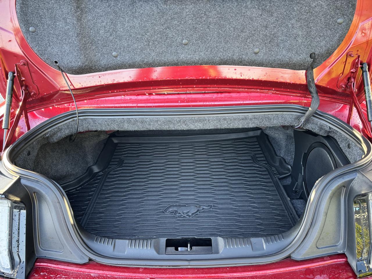 FORD MUSTANG GT CABRIOLET 5.0L V8 MAGNERIDE