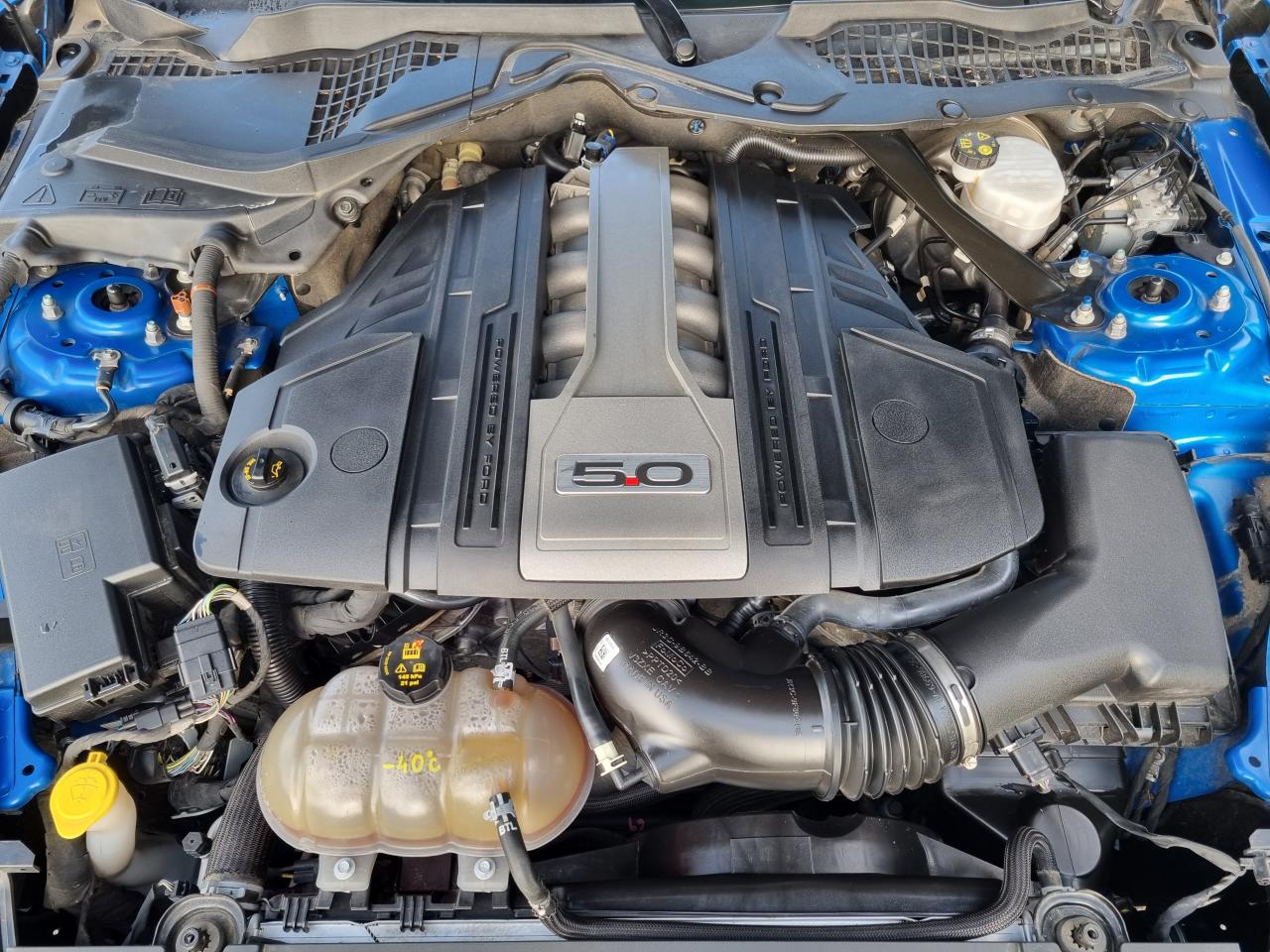 FORD MUSTANG GT FASTBACK 5.0L V8 450ch