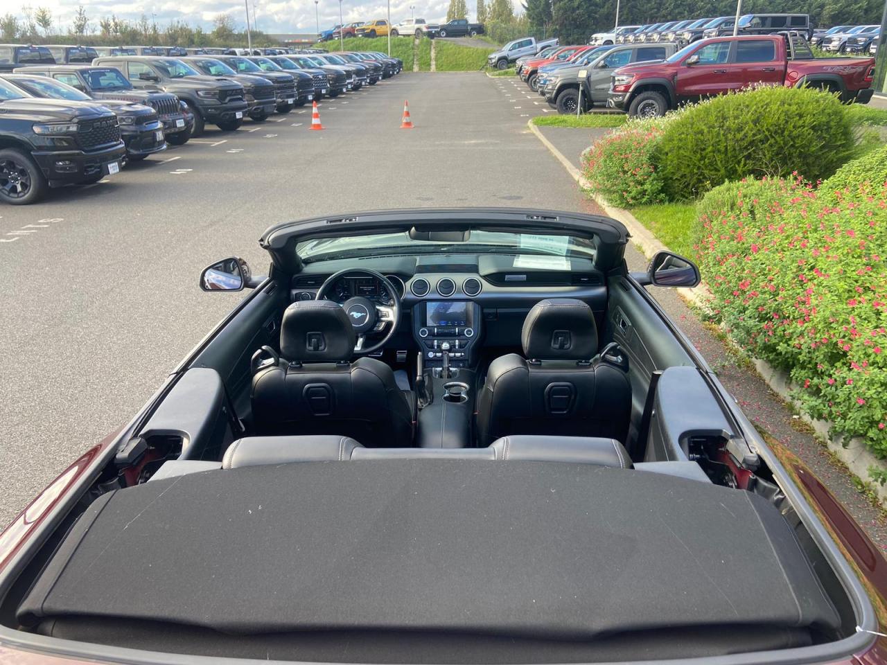 FORD MUSTANG GT CABRIOLET V8 5.0L