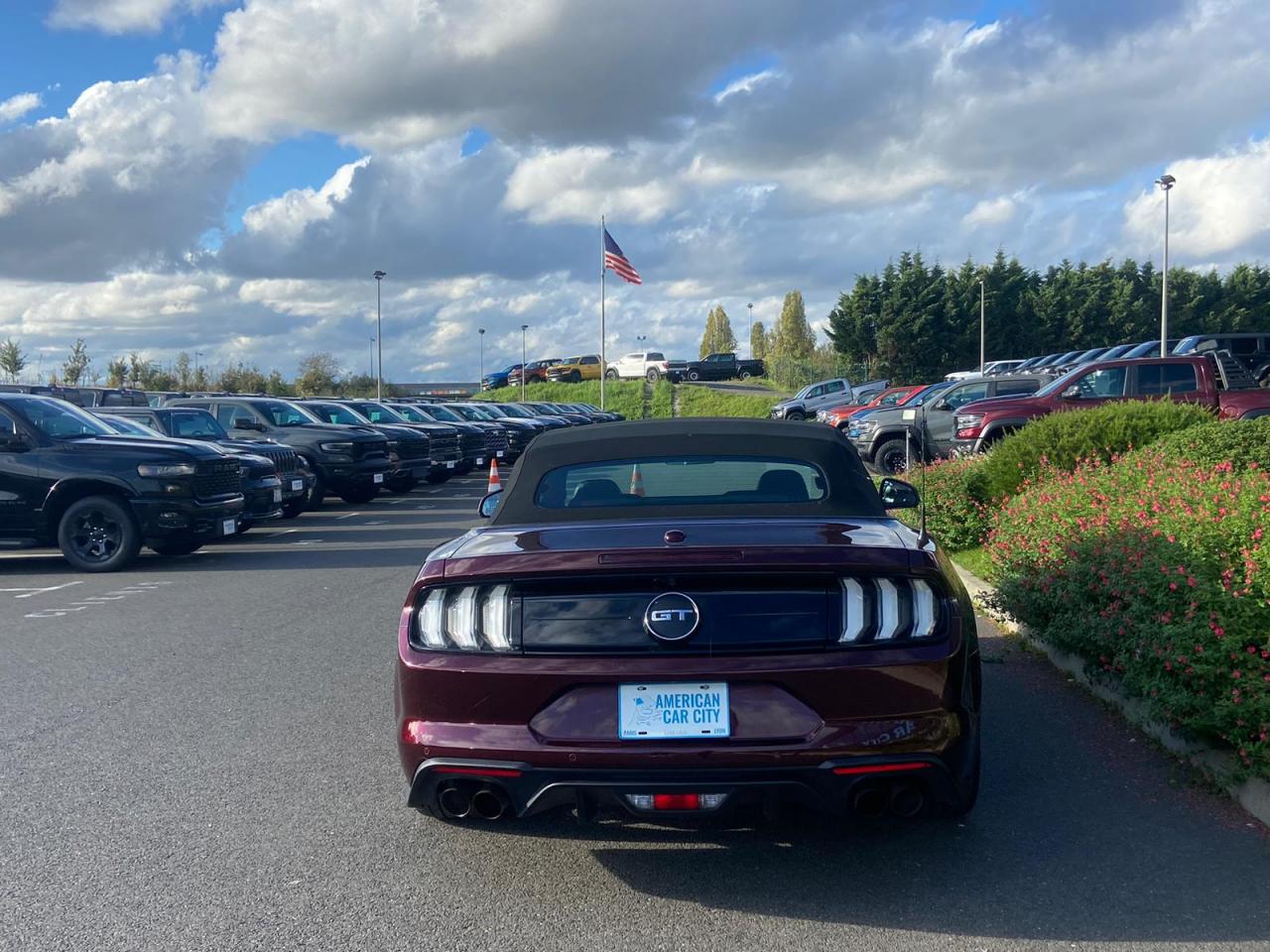 FORD MUSTANG GT CABRIOLET V8 5.0L