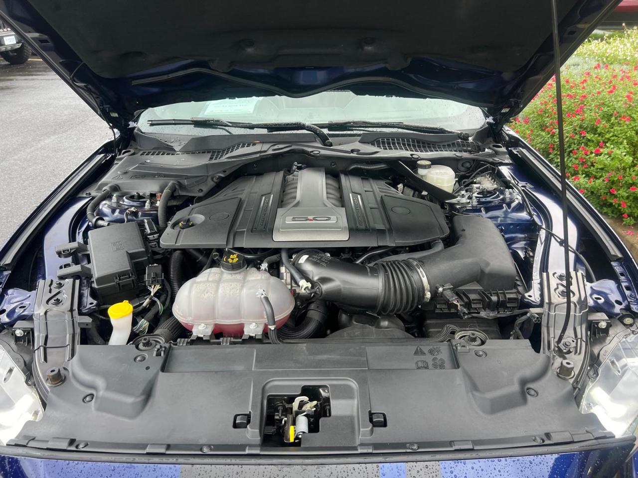 FORD MUSTANG GT FASTBACK 5.0L V8 450ch