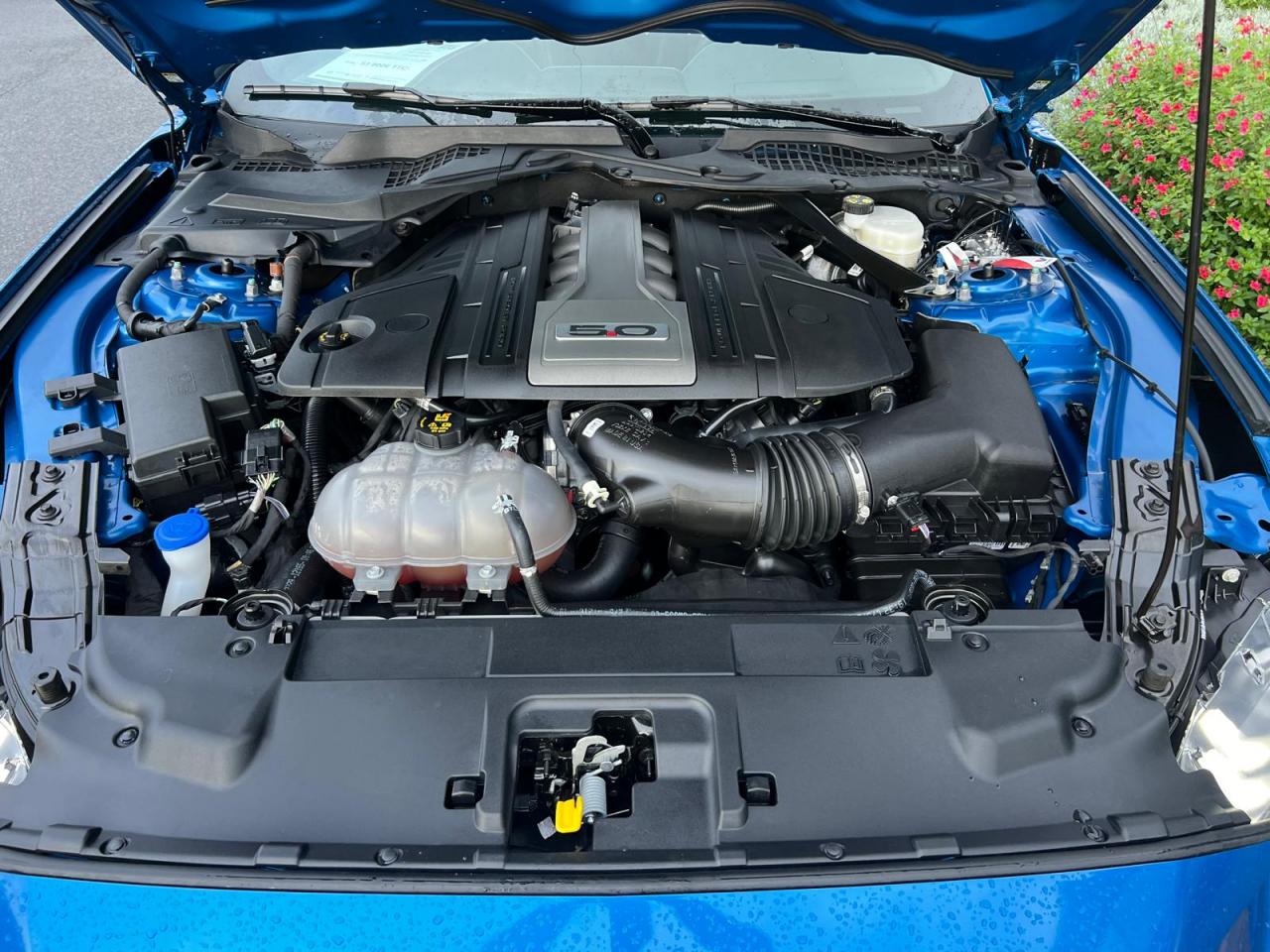 FORD MUSTANG GT FASTBACK 5.0L V8 450ch