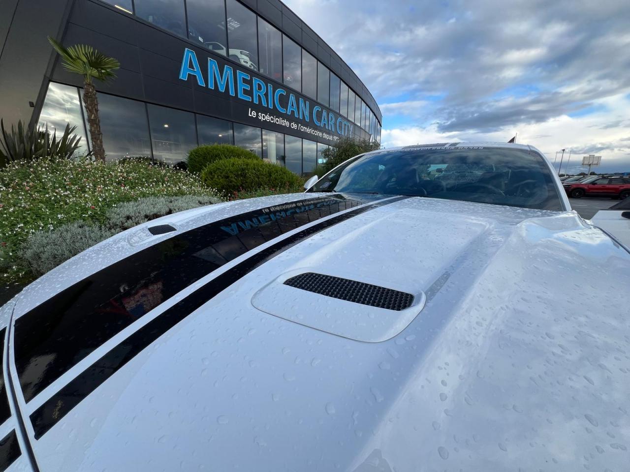 FORD MUSTANG Fastback 5.0 V8 Ti-VCT - 450 - BVA