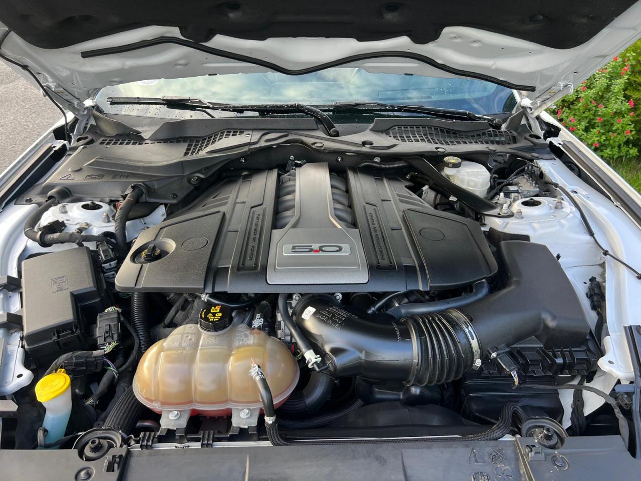 FORD MUSTANG Fastback 5.0 V8 Ti-VCT - 450 - BVA