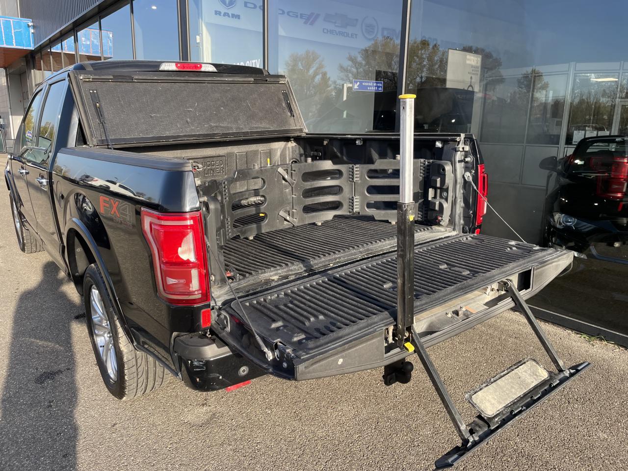 FORD F150 SUPERCREW PLATINUM V8 5.0L FLEXFUEL - VENTE PRO