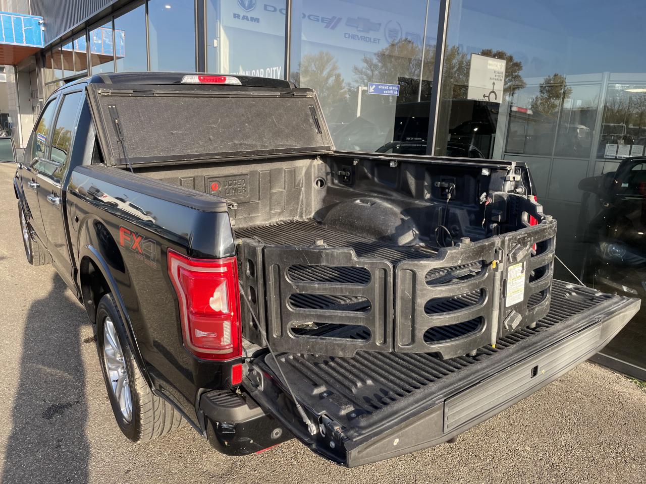 FORD F150 SUPERCREW PLATINUM V8 5.0L FLEXFUEL - VENTE PRO