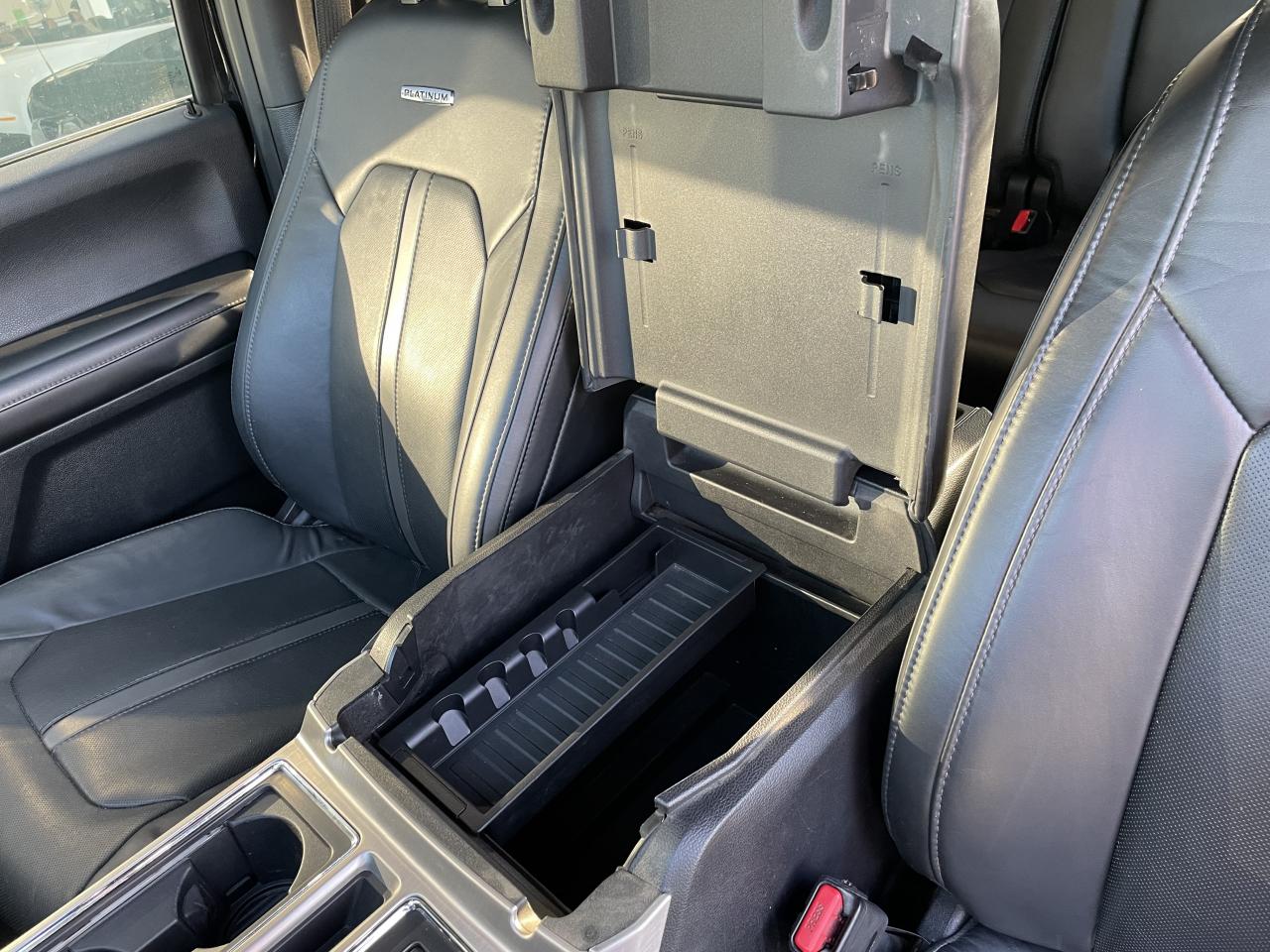 FORD F150 SUPERCREW PLATINUM V8 5.0L FLEXFUEL - VENTE PRO