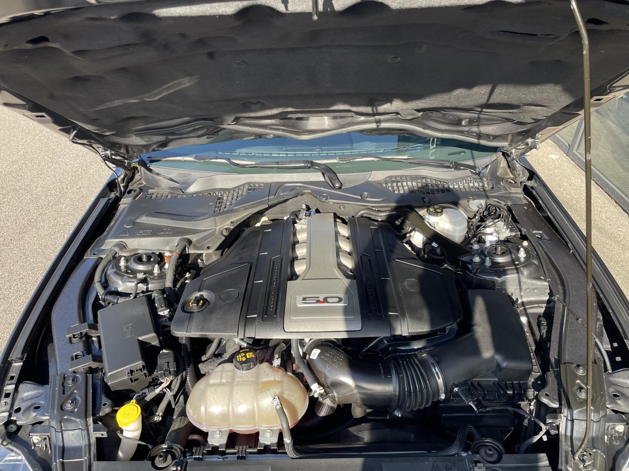 FORD MUSTANG GT FASTBACK 5.0L V8 450ch - MALUS PAYE