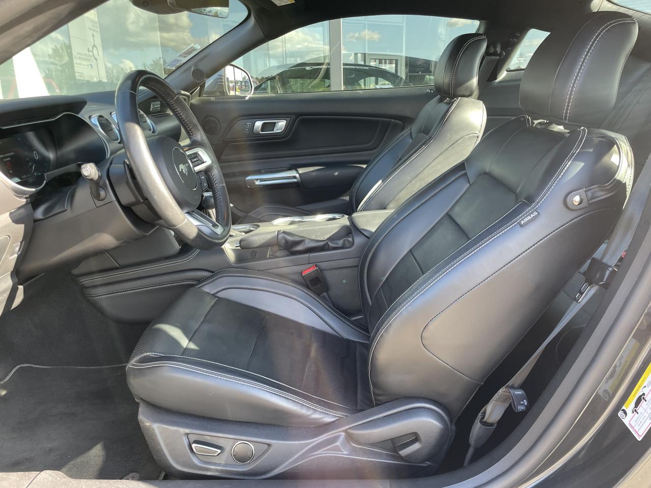 FORD MUSTANG GT FASTBACK 5.0L V8 450ch - MALUS PAYE