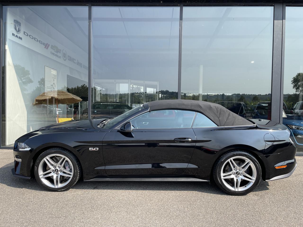 FORD MUSTANG GT CABRIOLET V8 5.0L BVA10 - Pas de malus