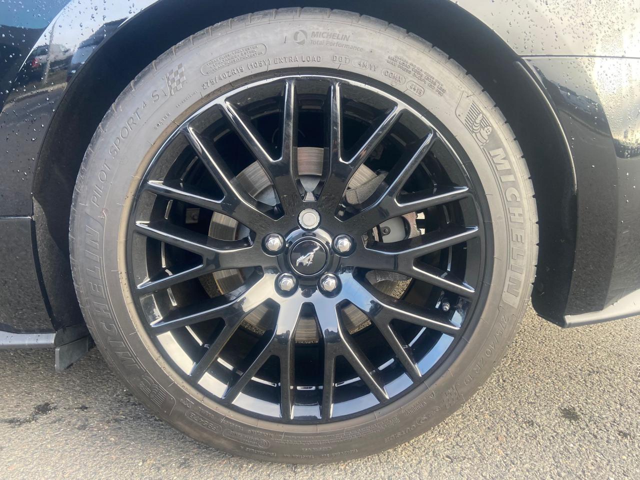 FORD MUSTANG GT FASTBACK 5.0L V8 450ch