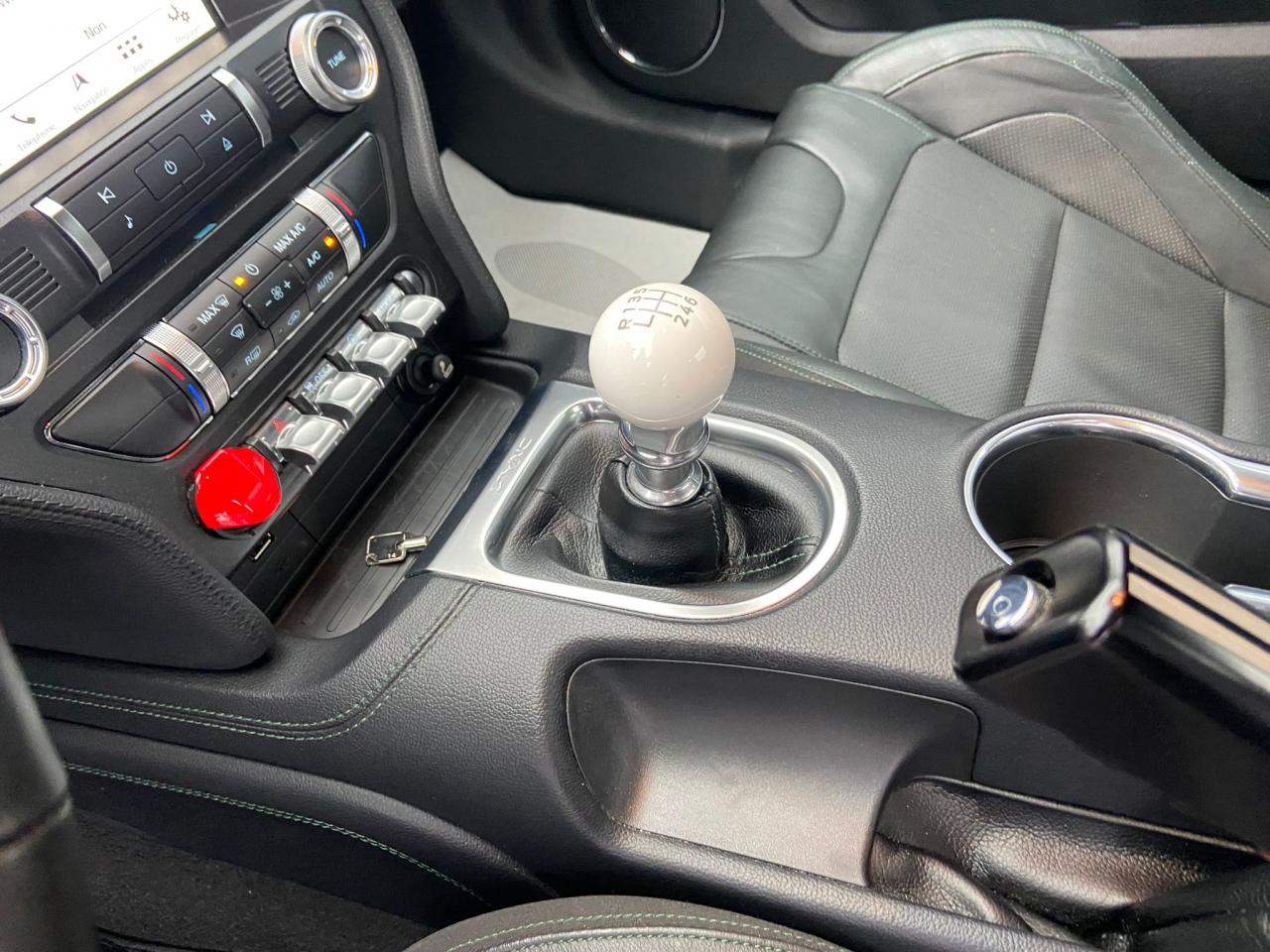 FORD MUSTANG Fastback 5.0 V8 - BULLITT RECARO MAGNERIDE