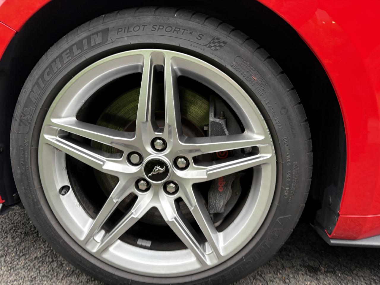 FORD MUSTANG Fastback GT 5.0L V8 450ch