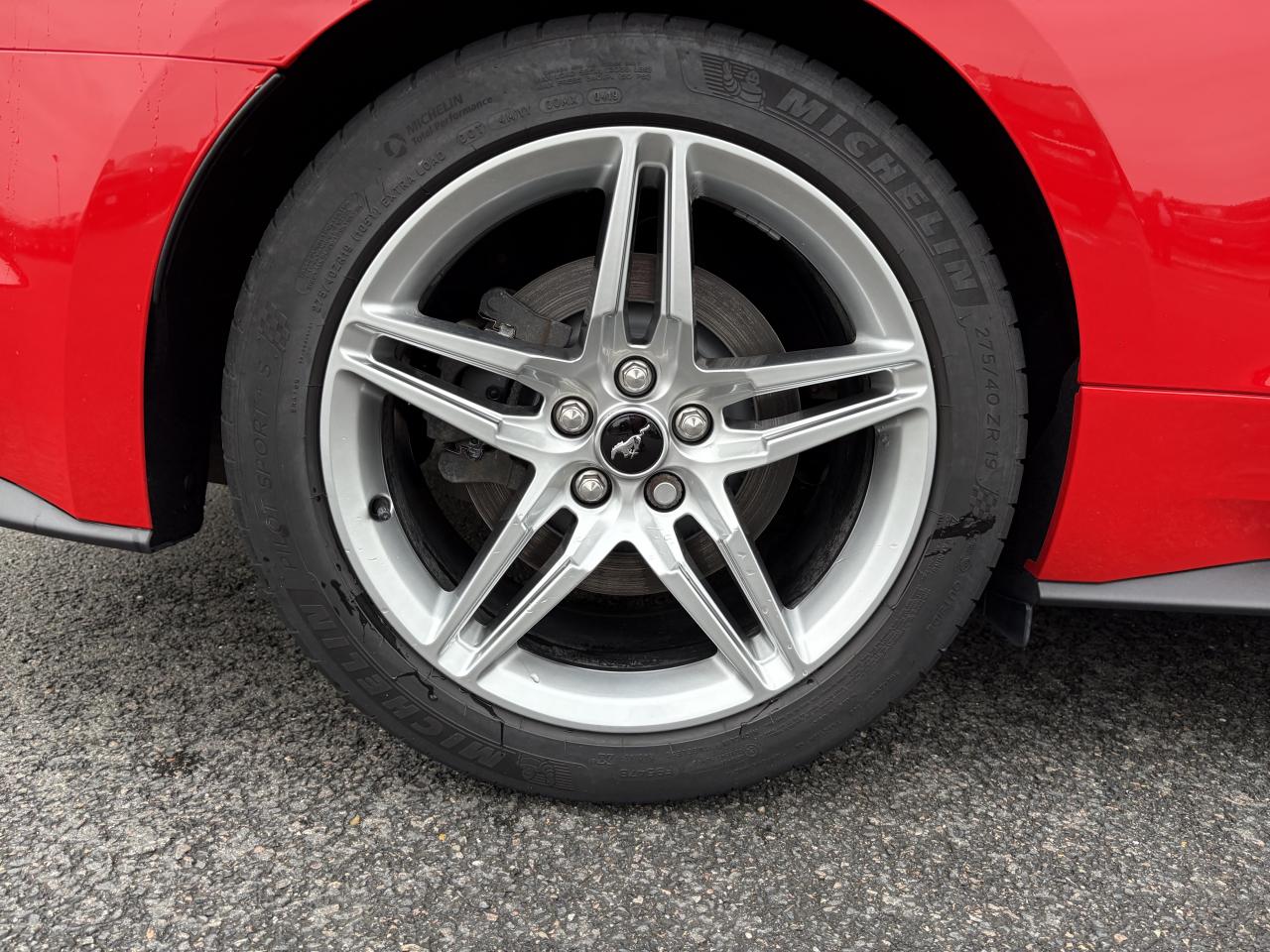 FORD MUSTANG Fastback GT 5.0L V8 450ch