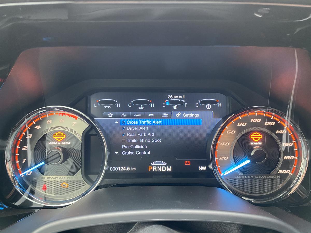 FORD F150 Harley Davidson V8 5.0L FLEXFUEL