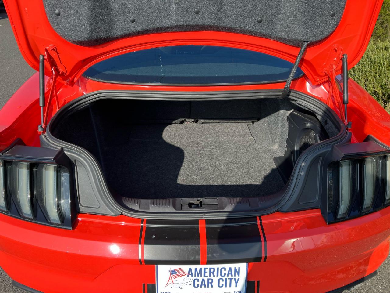 FORD MUSTANG Shelby GT350 V8 5.2L