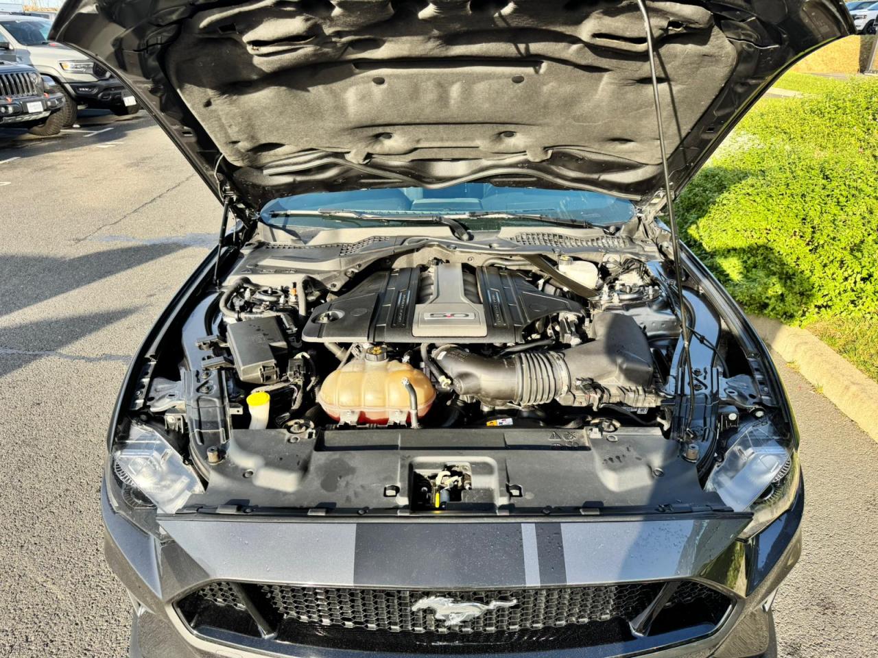 FORD MUSTANG GT FASTBACK 5.0L V8 450ch