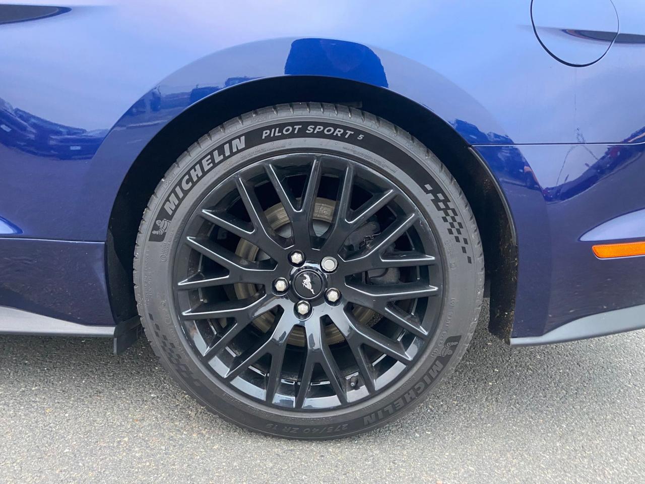 FORD MUSTANG GT CABRIOLET 5.0L V8