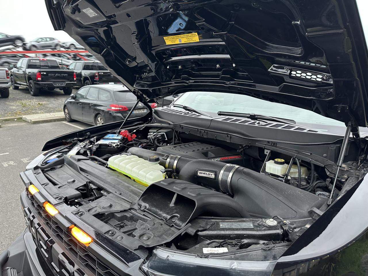 FORD F150 Raptor Shelby Baja