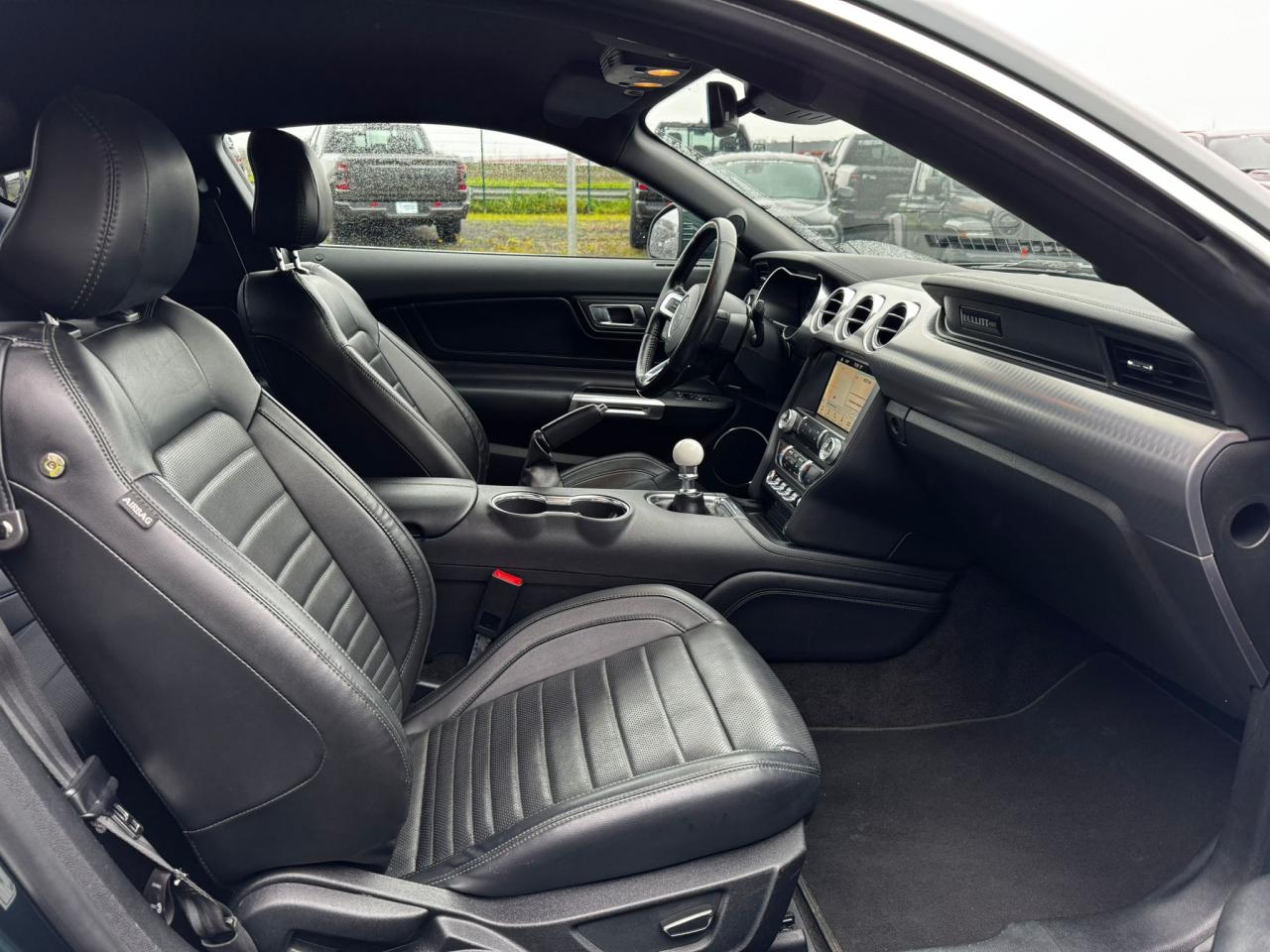 FORD MUSTANG Fastback 5.0 V8 - BULLITT - MAGNERIDE